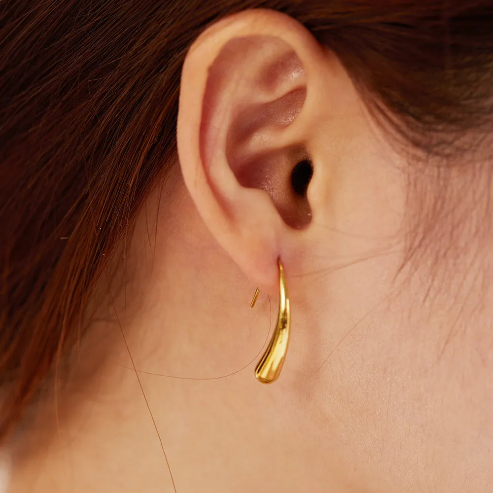 Nyra Hook Earrings